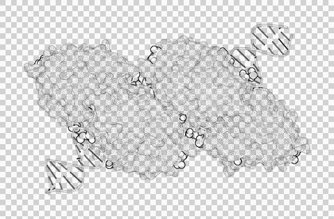 3D rendering as a line drawing of a biological molecule. Stock Illustration