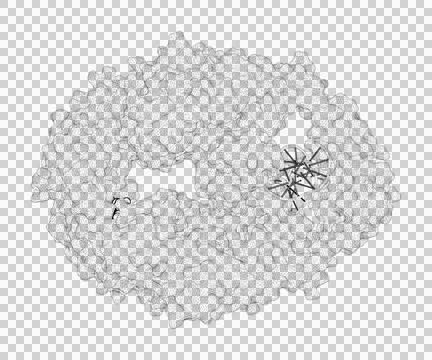 3D rendering as a line drawing of a biological molecule. Stock Illustration