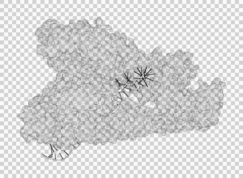 3D rendering as a line drawing of a biological molecule. Stock Illustration