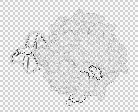 3D rendering as a line drawing of a biological molecule. Stock Illustration