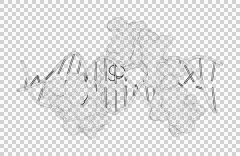 3D rendering as a line drawing of a biological molecule. Stock Illustration