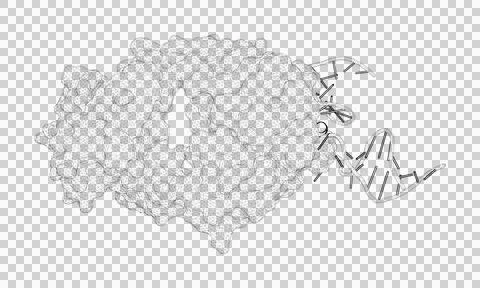 3D rendering as a line drawing of a biological molecule. Stock Illustration