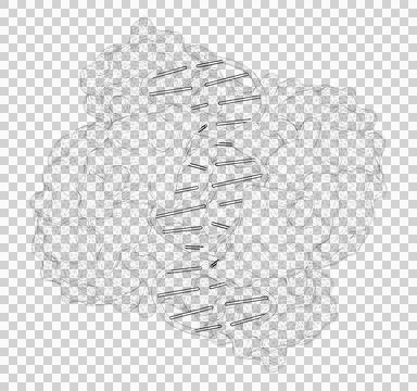3D rendering as a line drawing of a biological molecule. Stock Illustration