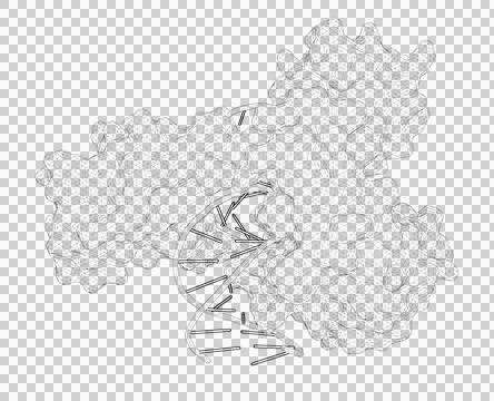 3D rendering as a line drawing of a biological molecule. Stock Illustration