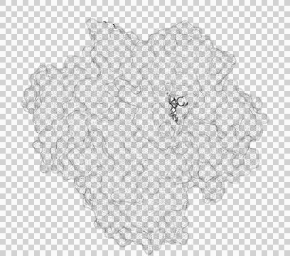 3D rendering as a line drawing of a biological molecule. Stock Illustration