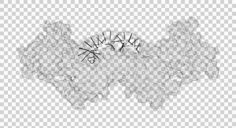 3D rendering as a line drawing of a biological molecule. Stock Illustration
