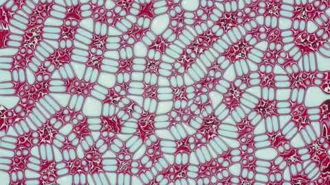 3d rendering loop animation of colorfully evolving organic shapes 4K Stock Footage 280379104