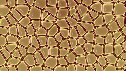 3d rendering loop animation of a complex network of interconnected nerve cells Stock Footage 280005593