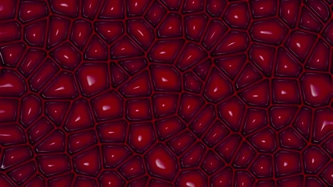 3d rendering loop animation of red organic cells under a microscope 4K Video stock 279447179