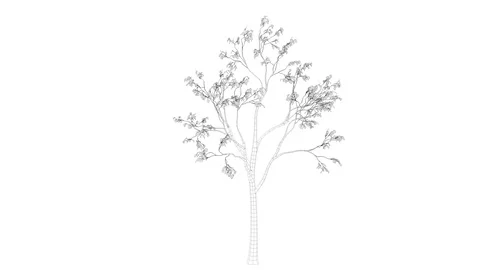 3d rendering of a loop tree animation as wireframe isolated Stock Footage 91265508