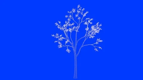 3d rendering of a loop tree animation as wireframe isolated Stock Footage 91265540