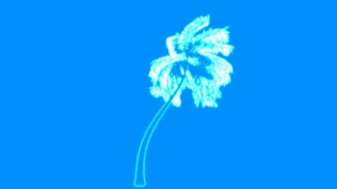 3d rendering of a loop tree animation as wireframe isolated Stock Footage 91265721