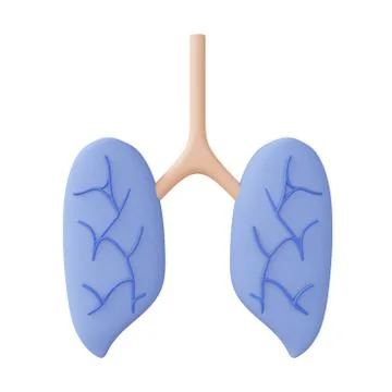 3d rendering of lung, 3d icons, pastel minimal cartoon style  isolated Stock Illustration