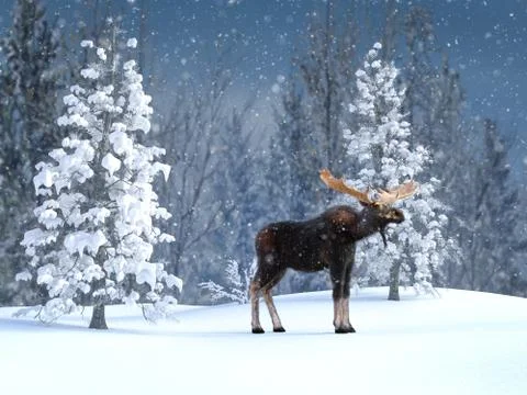 3D rendering of a majestic moose in a winter landscape. Stock Illustration