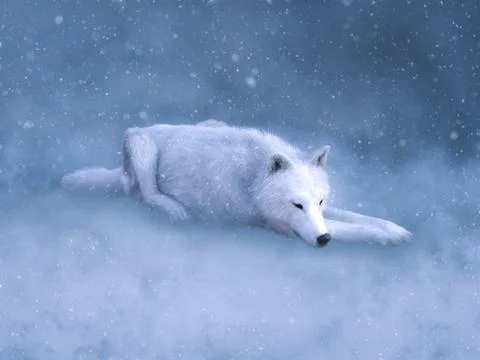 3D rendering of a majestic white wolf sleeping in snow. Stock Illustration