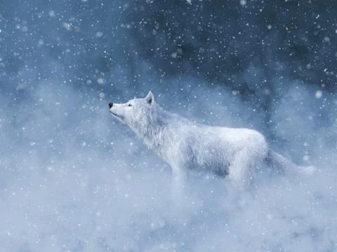 3D rendering of a majestic white wolf in snow. Stock Illustration