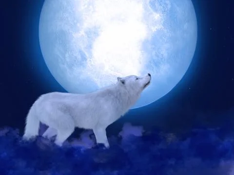 3D rendering of a majestic white wolf in moonlight. Stock Illustration