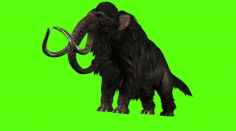 3D Rendering -  Mammoth Attacks Side on  Green screen Stock Illustration