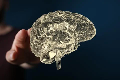 3D rendering of a man pointing at a human brain anatomical model Foto stock