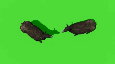 3d rendering of a man walking Stock Footage 300410348