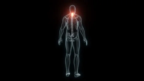 3D Rendering of a Medical Animation of the Cervical Vertebrae. X-ray of the Stock Footage 233343279
