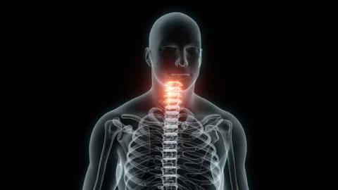 3D Rendering of a Medical Animation of the Cervical Vertebrae. X-ray of the Stock Footage 233349052
