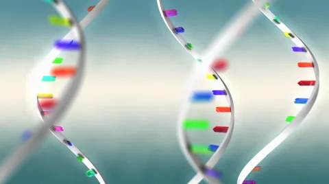 3d rendering messenger RNA model. Vidéo 68981935