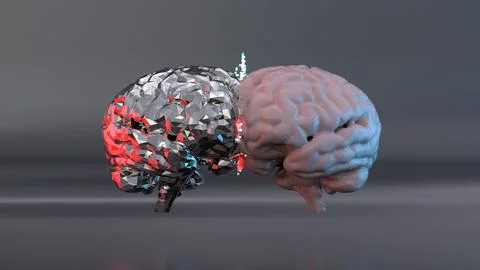 3d rendering of a metallic geometric brain merging with a smooth human brai.. イラスト素材
