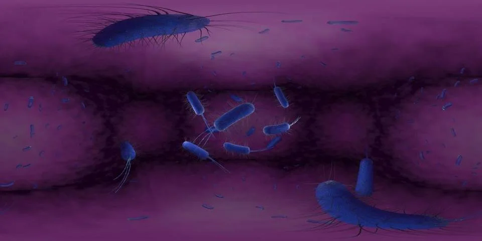 3d rendering Microscope virus bacteria close up. Equirectangular 360 VR im... Stock Photos