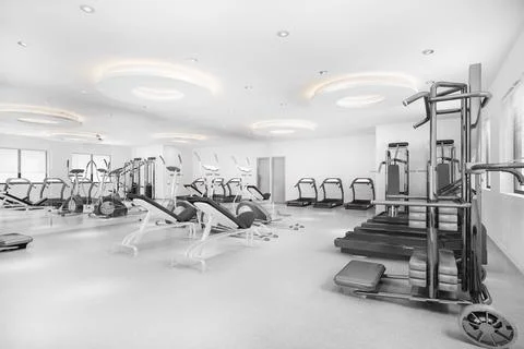 3d rendering modern loft gym and fitness Stock Illustration