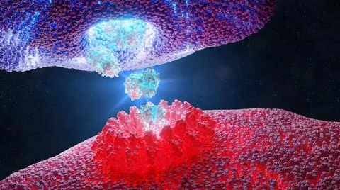3D Rendering of Molecular Mechanism of T Cell Attack Stock Illustration