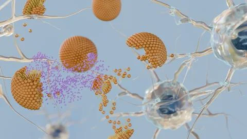 A 3d rendering of the moment a nanocarrier or liposome 库存插图
