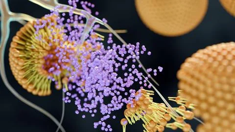 A 3d rendering of the moment a nanocarrier or liposome 库存插图