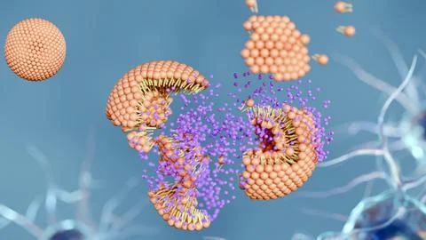 A 3d rendering of the moment a nanocarrier or liposome 库存插图