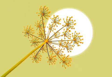 3d rendering of a moon with anethum graveolens plant Illustration