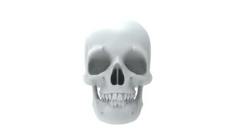 3d rendering of multiple views of a human skull isolated in white background Stock Illustration