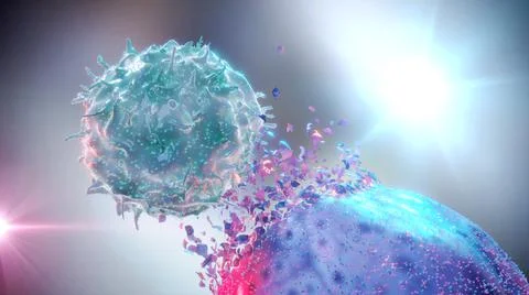 3D Rendering of Natural Killer NK Cell Destroying Cancer Cell Stock Illustration