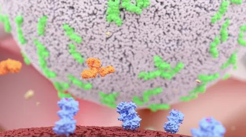 3D Rendering of Natural Killer (NK) Cell Approaching Cancer Cell Stock Illustration