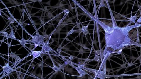 3D rendering of a network of neuron cells and synapses in the brain through w Stock Illustration
