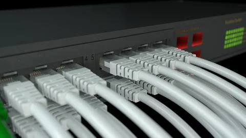 3d rendering of a network switch and ethernet cables Stock-Illustration