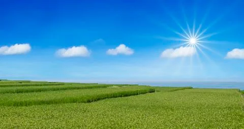 3d rendering of nice place to visite Stock Illustration