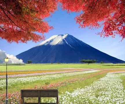 3d rendering of nice place to visite Stock Illustration