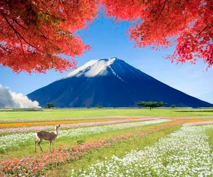 3d rendering of nice place to visite Illustration