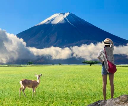 3d rendering of nice view lanscape with very nice background Stock Photos