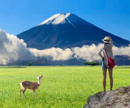 3d rendering of nice view lanscape with very nice background Stock Photos