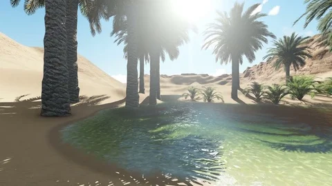 3d rendering - Oasis in the desert. Video stock 76094369