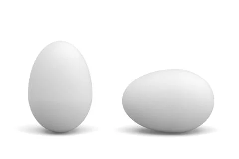 3d rendering of one lying and one standing white chicken eggs on white Stock Illustration