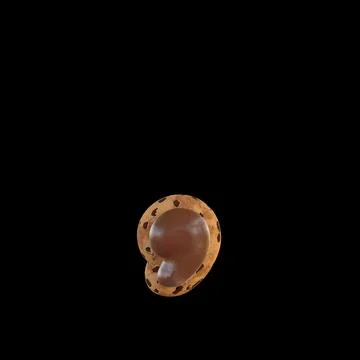 3d rendering of the , or comma sign recreating a cookie with chocolate on top Ilustração Stock