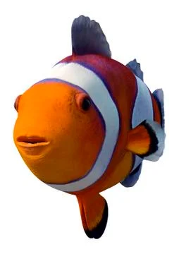 3D Rendering Orange Clownfish on White Stock Illustration