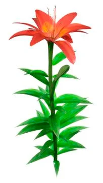 3D Rendering Orange Sensation Asiatic Lily on White Stock Illustration